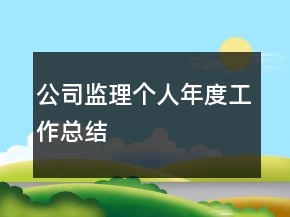 公司监理个人年度工作总结