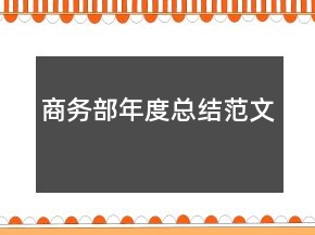 商务部年度总结范文