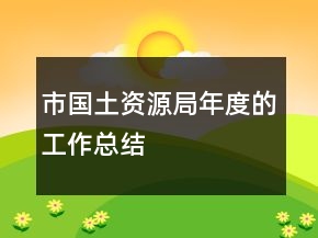 市国土资源局年度的工作总结