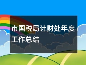 市国税局计财处年度工作总结