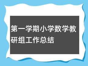 第一学期小学数学教研组工作总结