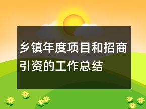 乡镇年度项目和招商引资的工作总结