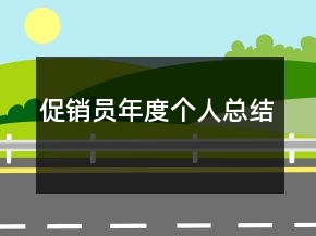 促销员年度个人总结