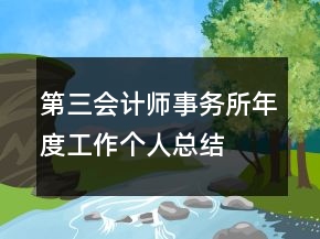 第三会计师事务所年度工作个人总结