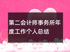 第二会计师事务所年度工作个人总结