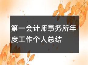 第一会计师事务所年度工作个人总结