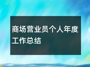 商场营业员个人年度工作总结