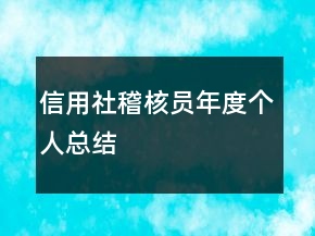 信用社稽核员年度个人总结