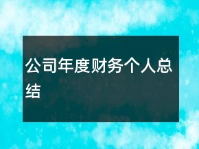 公司年度财务个人总结