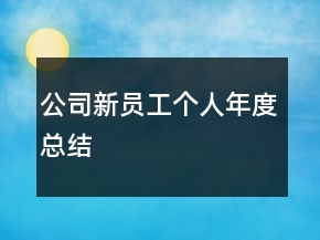 公司新员工个人年度总结