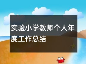 实验小学教师个人年度工作总结