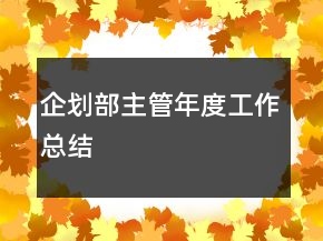 企划部主管年度工作总结