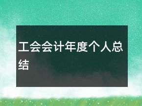 工会会计年度个人总结