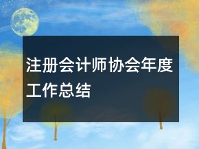 注册会计师协会年度工作总结