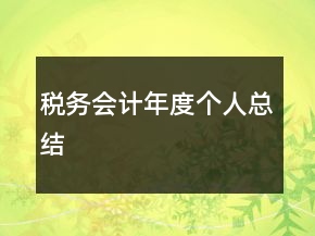 税务会计年度个人总结