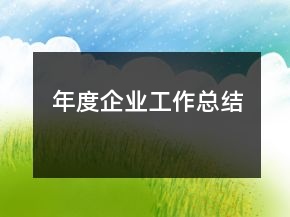 年度企业工作总结