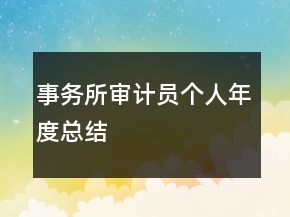 事务所审计员个人年度总结