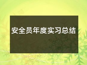 安全员年度实习总结