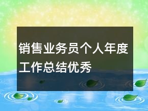 销售业务员个人年度工作总结优秀