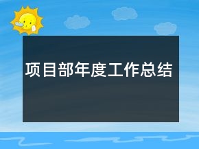 项目部年度工作总结
