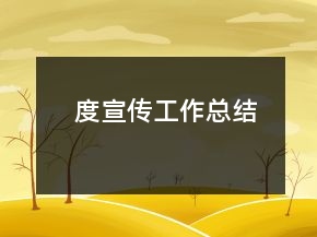 度宣传工作总结