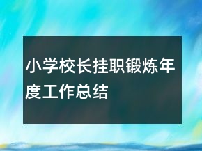 小学校长挂职锻炼年度工作总结