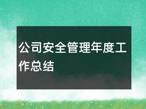 公司安全管理年度工作总结