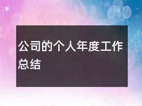 公司的个人年度工作总结