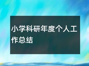 小学科研年度个人工作总结