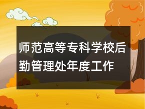 师范高等专科学校后勤管理处年度工作总结