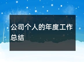 公司个人的年度工作总结