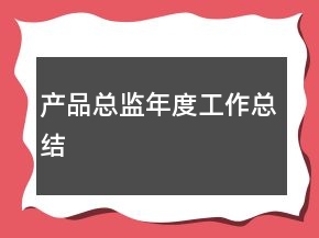 产品总监年度工作总结