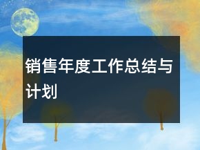 销售年度工作总结与计划