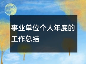 事业单位个人年度的工作总结