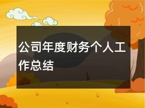 公司年度财务个人工作总结
