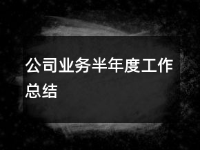 公司业务半年度工作总结