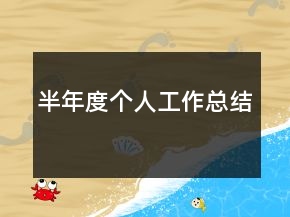 半年度个人工作总结