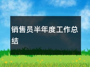 销售员半年度工作总结