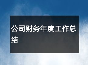 公司财务年度工作总结