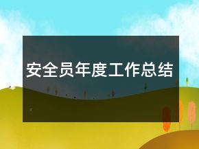 安全员年度工作总结