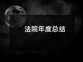 法院年度总结