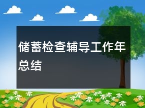 储蓄检查辅导工作年总结