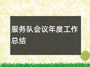 服务队会议年度工作总结