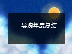 导购年度总结