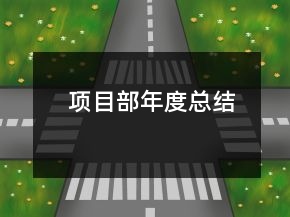 项目部年度总结
