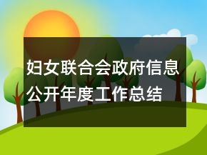 妇女联合会政府信息公开年度工作总结
