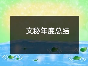 文秘年度总结