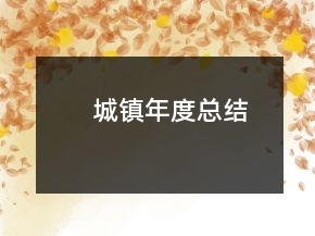 城镇年度总结