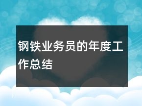 钢铁业务员的年度工作总结