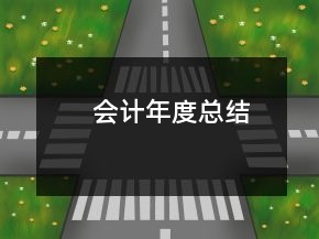 会计年度总结